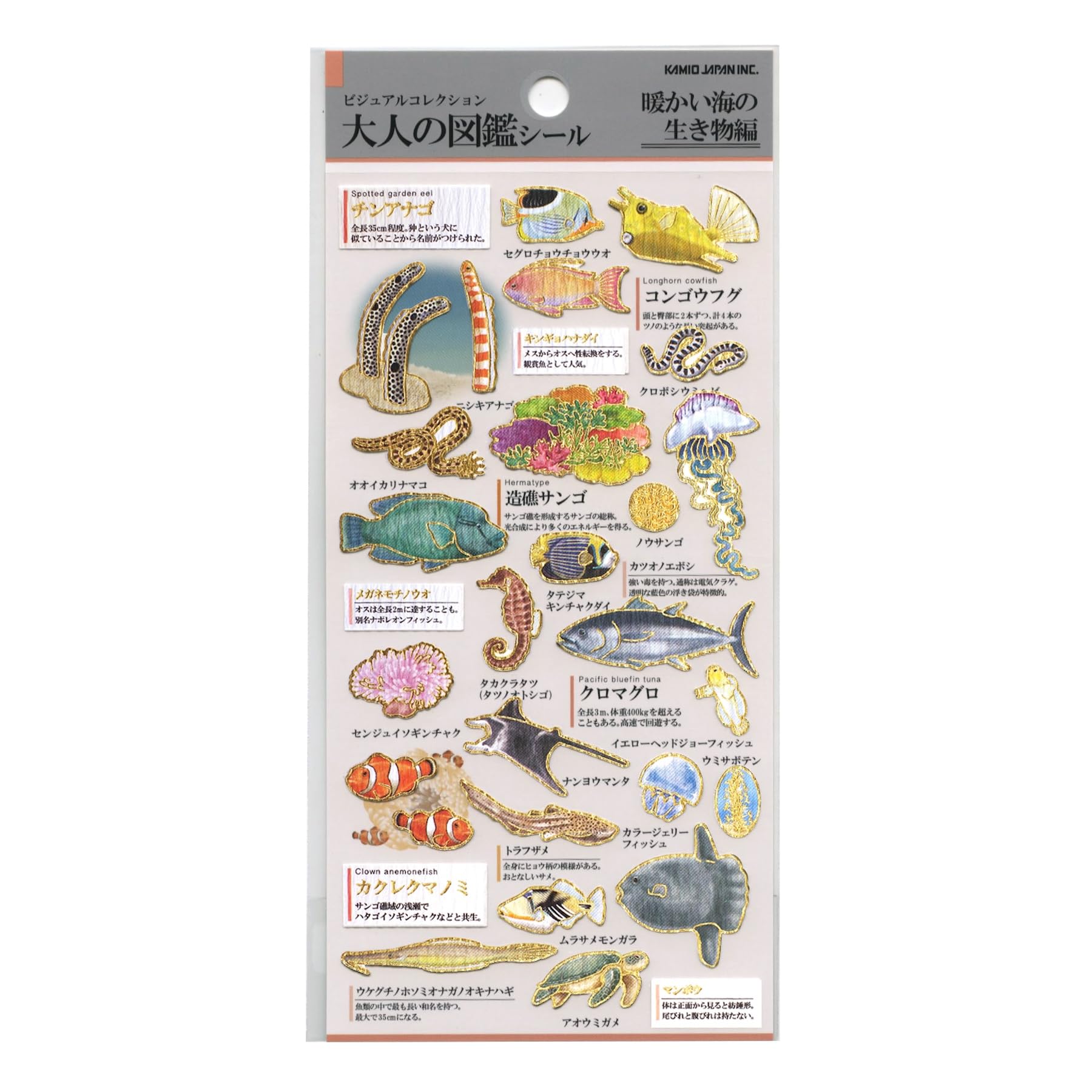 Amazon.co.jp: カミオジャパン シール 大人の図鑑シール 暖海の生き物